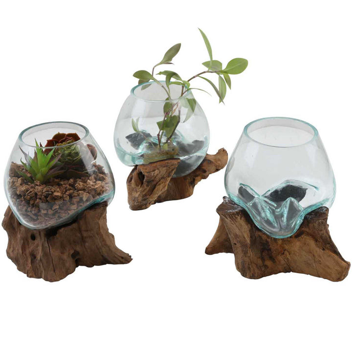 Glasvas på burl wood A15