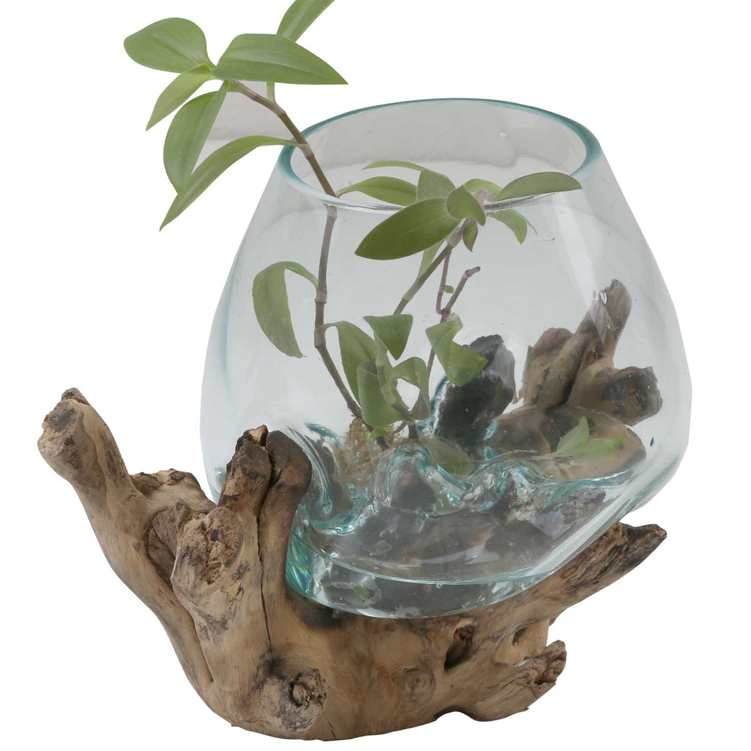 Glasvas på burl wood A18