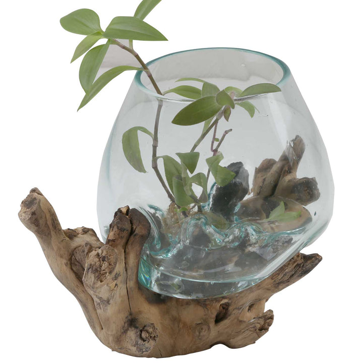Glasvas på burl wood A18