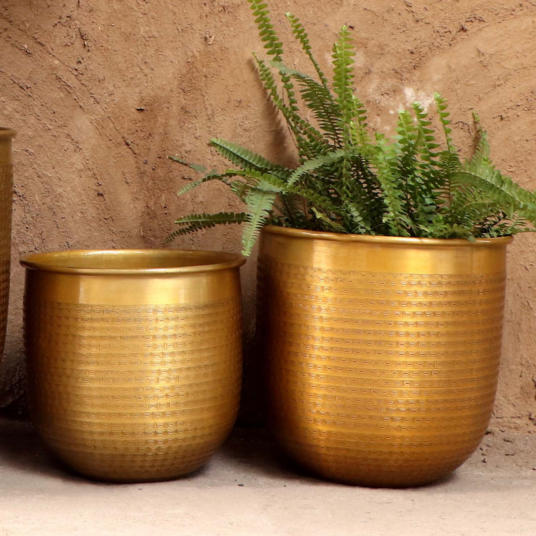 Orientalisk blomkruka Barcelona