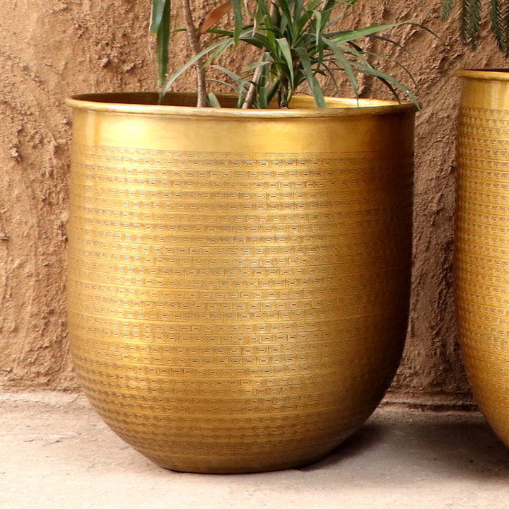 Orientalisk blomkruka Barcelona