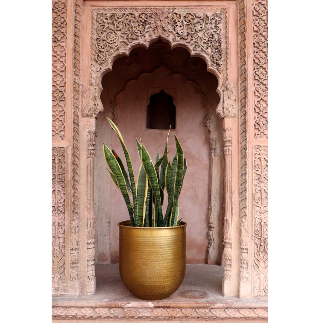 Orientalisk blomkruka Barcelona