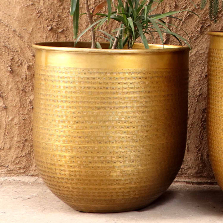 Orientalisk blomkruka Barcelona