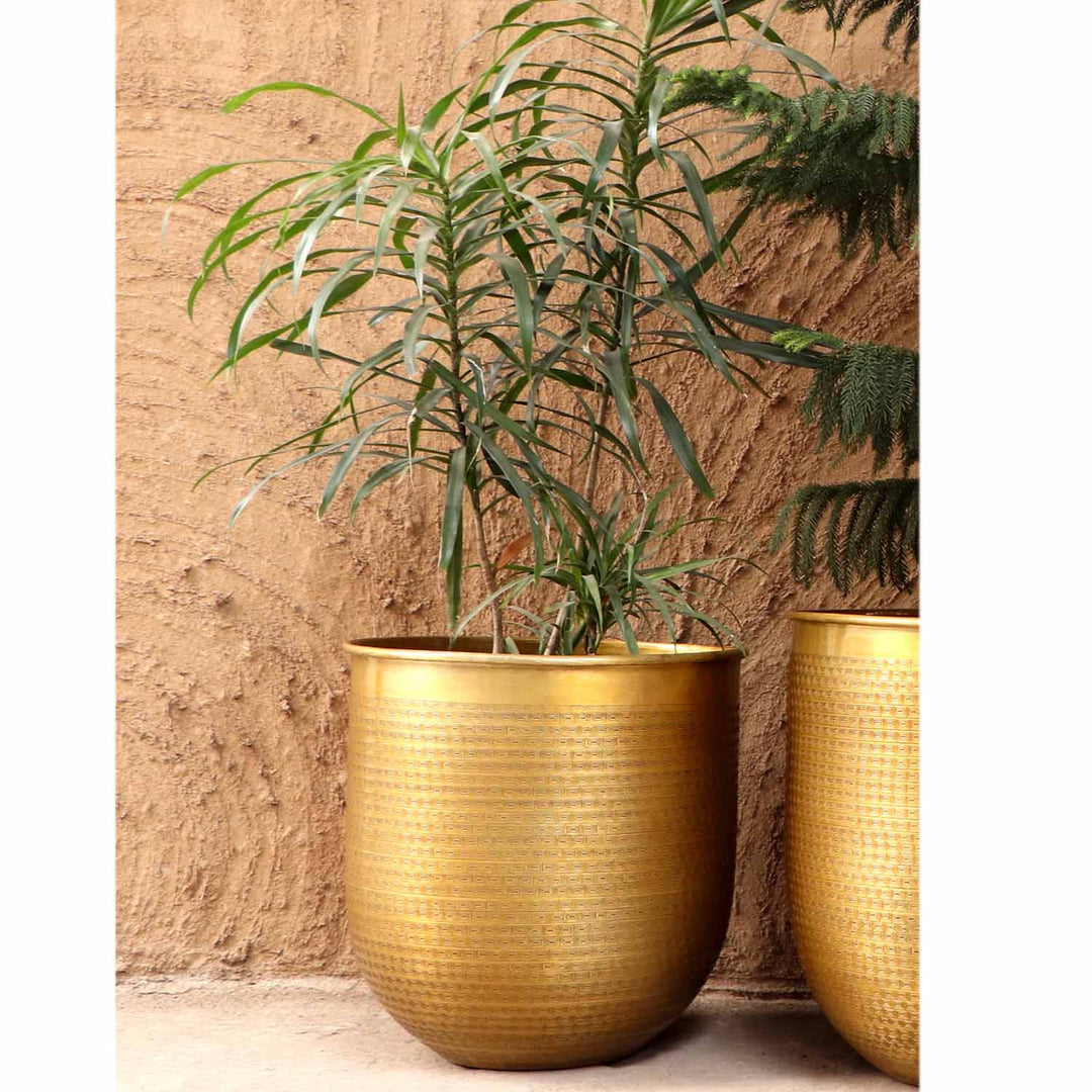 Orientalisk blomkruka Barcelona