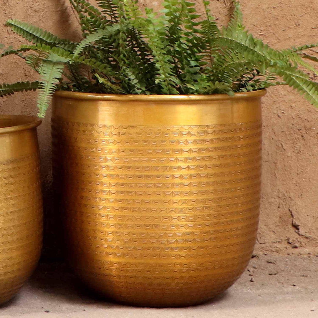Orientalisk blomkruka Barcelona