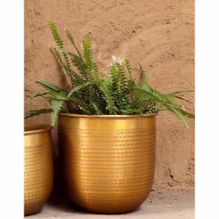 Orientalisk blomkruka Barcelona