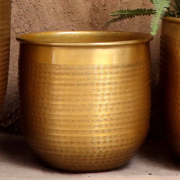Orientalisk blomkruka Barcelona