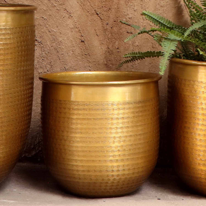 Orientalisk blomkruka Barcelona