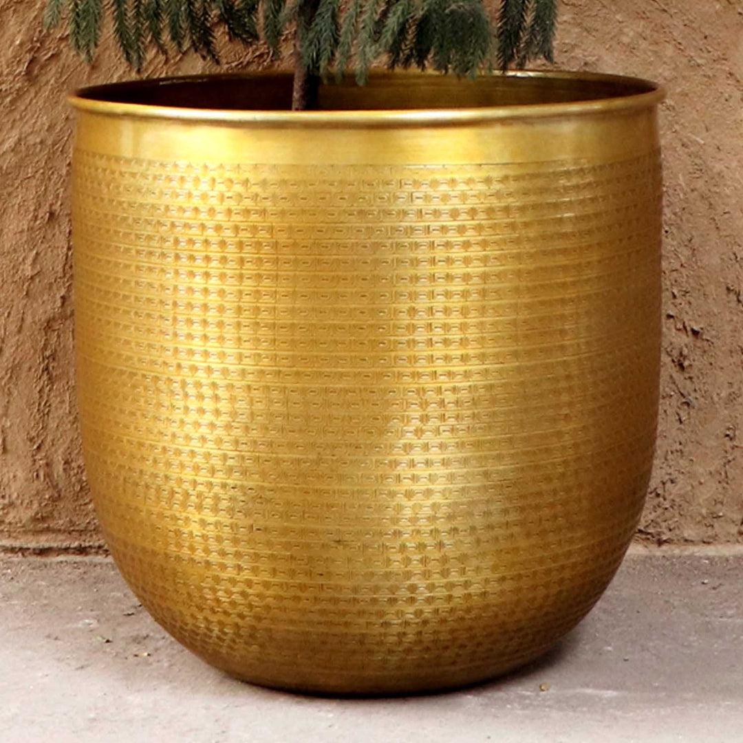Orientalisk blomkruka Barcelona