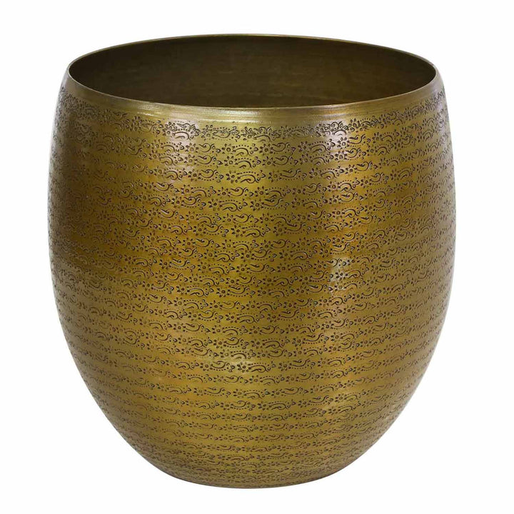 Orientalisk blomkruka Leon