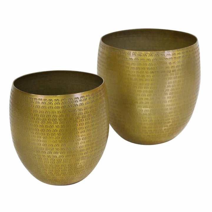 Orientalisk blomkruka Vega