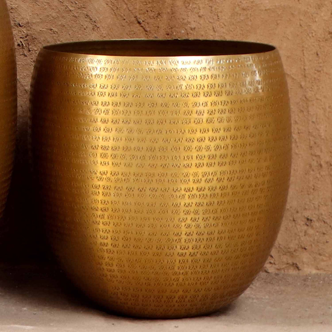 Orientalisk blomkruka Vega
