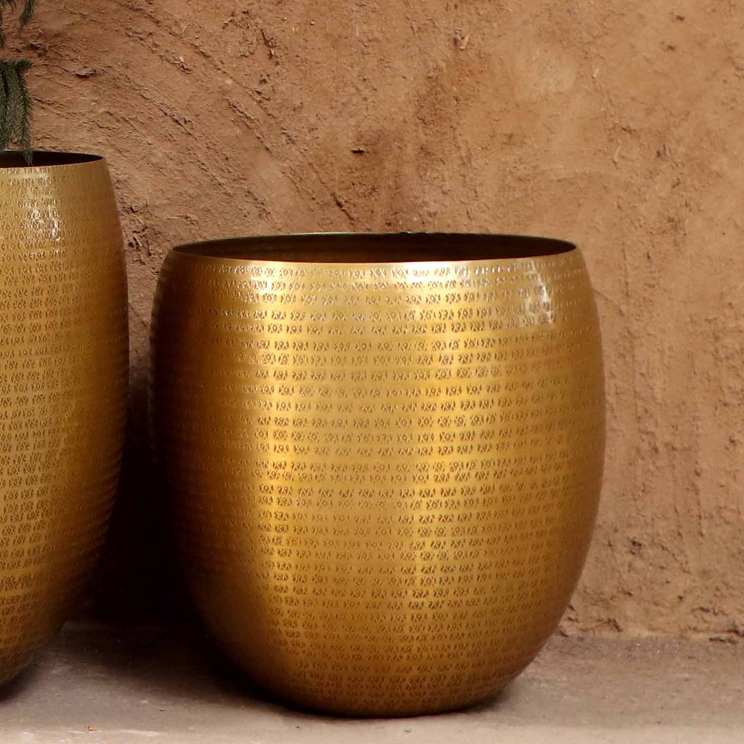 Orientalisk blomkruka Vega