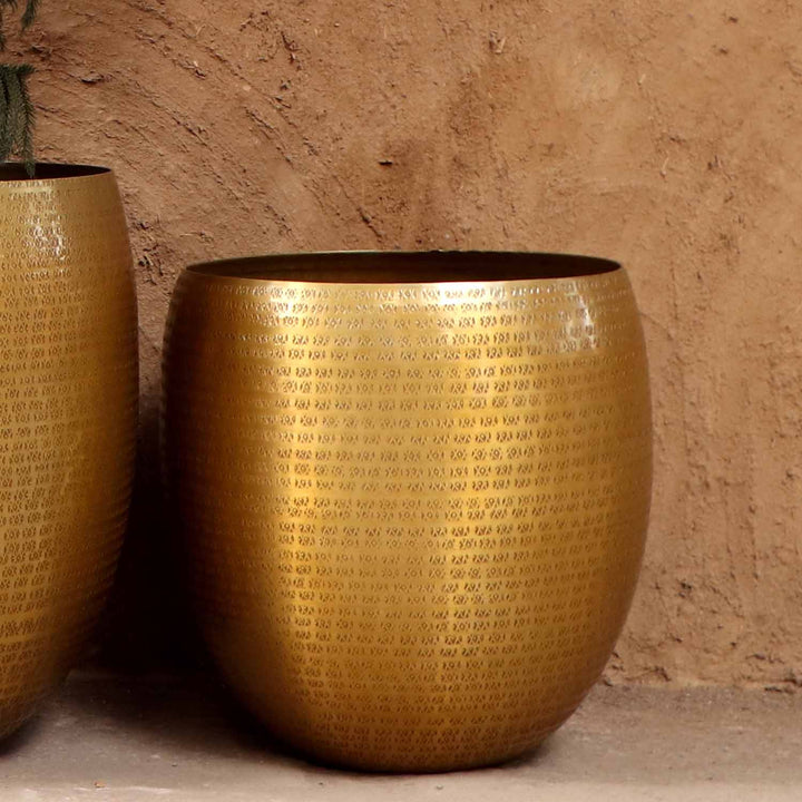 Orientalisk blomkruka Vega