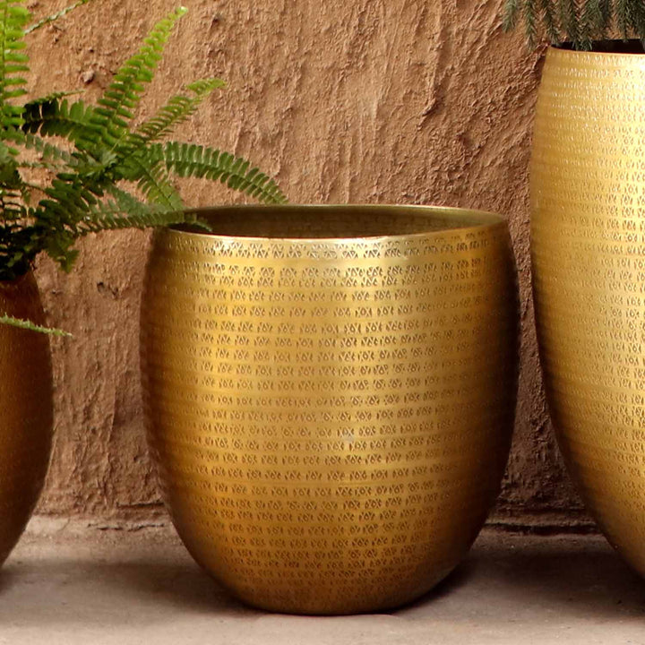Orientalisk blomkruka Vega