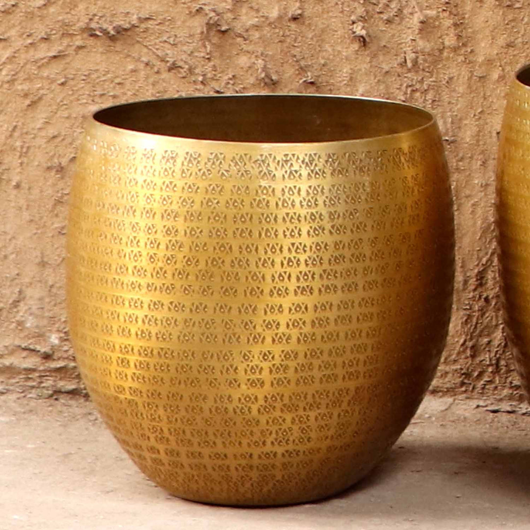 Orientalisk blomkruka Vega