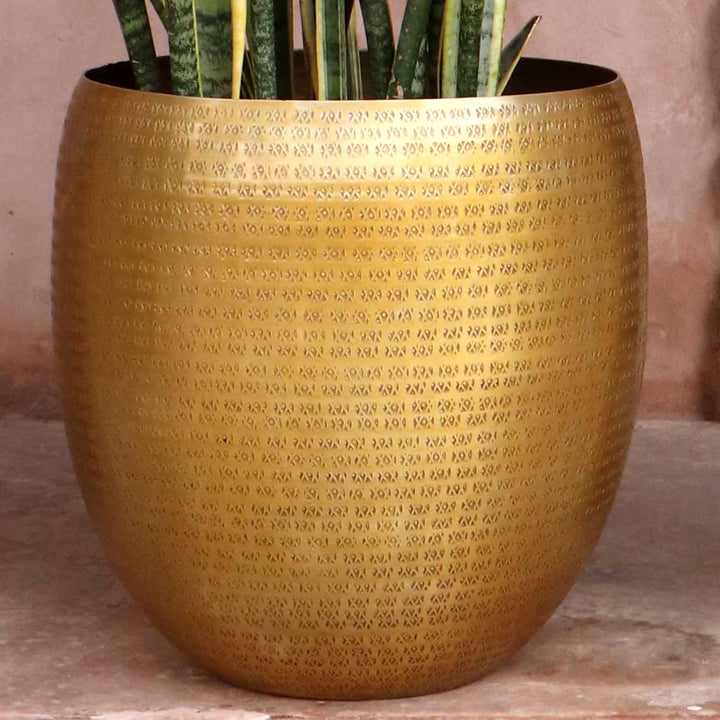 Orientalisk blomkruka Vega