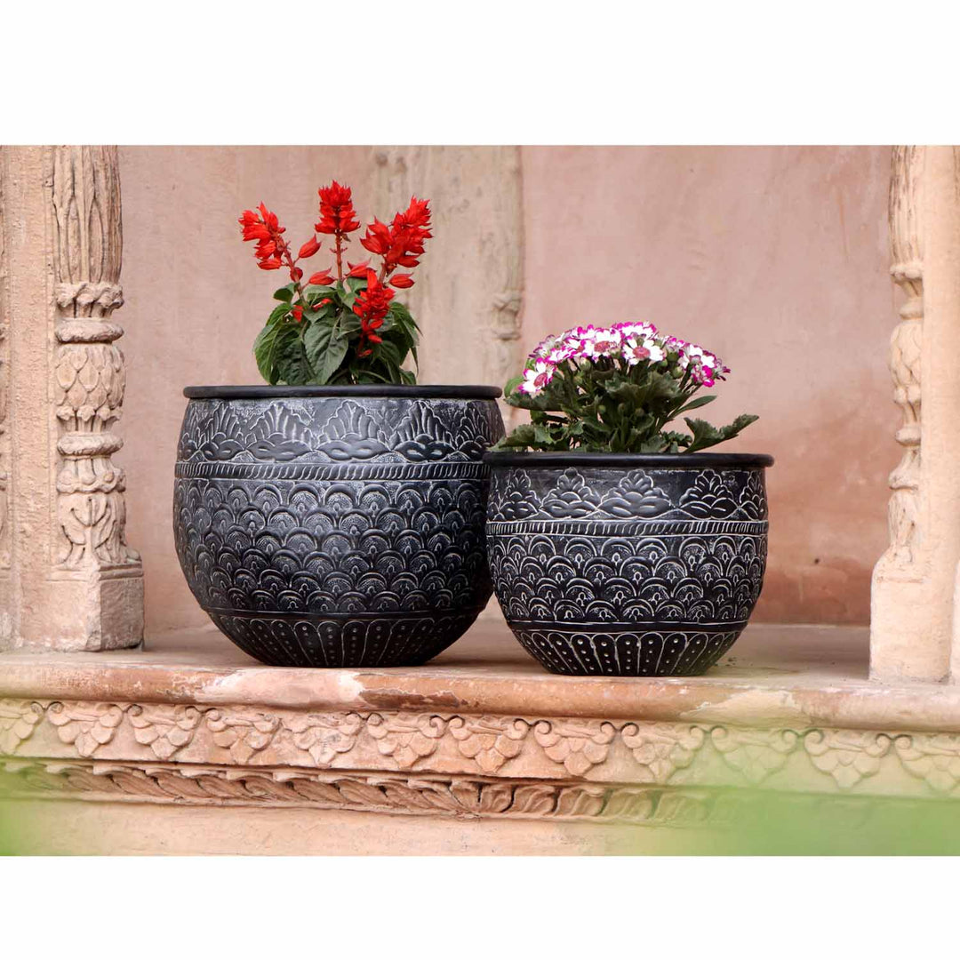 Orientalisk blomkruka Murcia