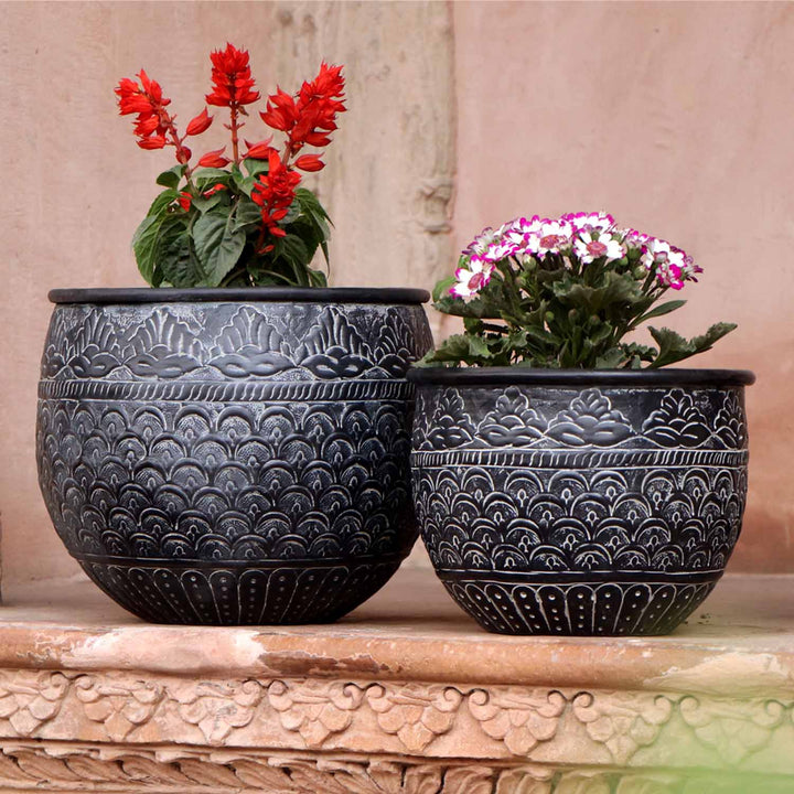 Orientalisk blomkruka Murcia