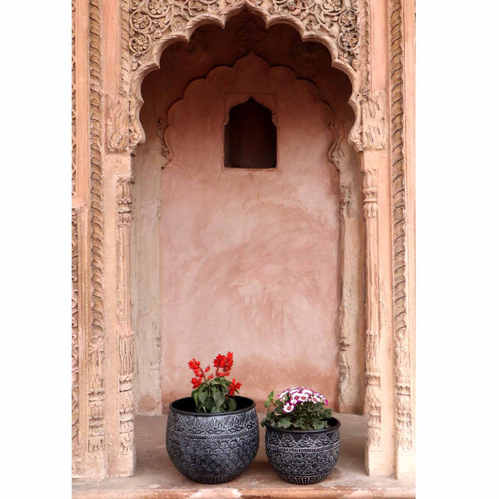 Orientalisk blomkruka Murcia
