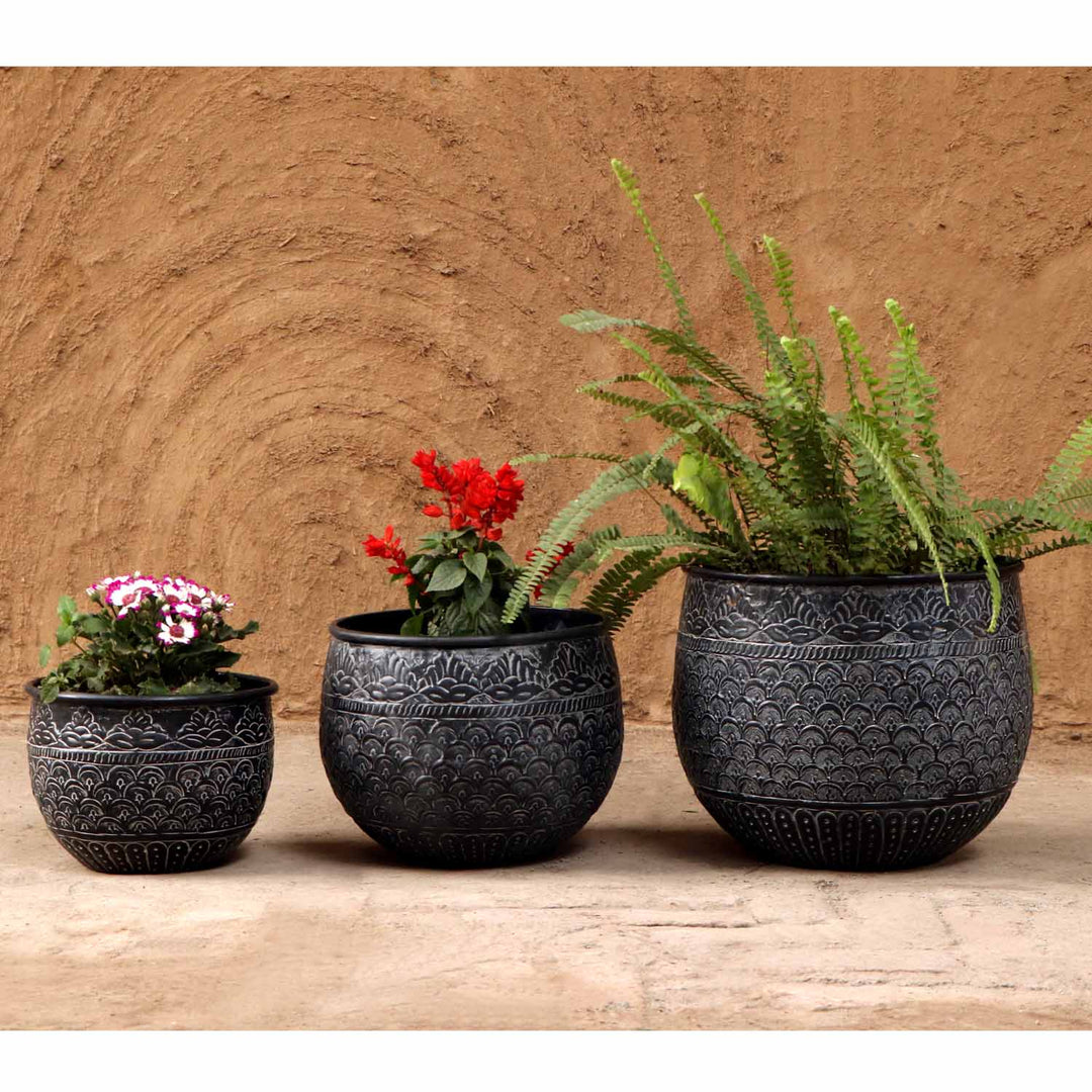 Orientalisk blomkruka Murcia