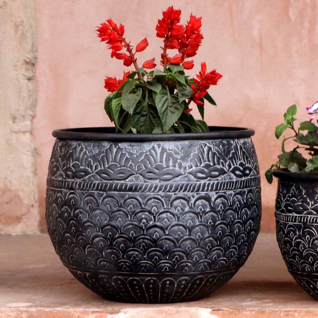Orientalisk blomkruka Murcia