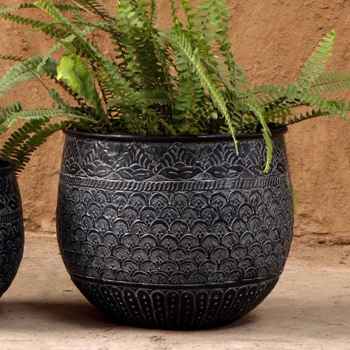 Orientalisk blomkruka Murcia