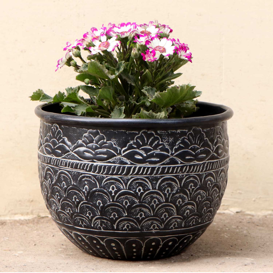 Orientalisk blomkruka Murcia