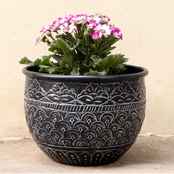 Orientalisk blomkruka Murcia
