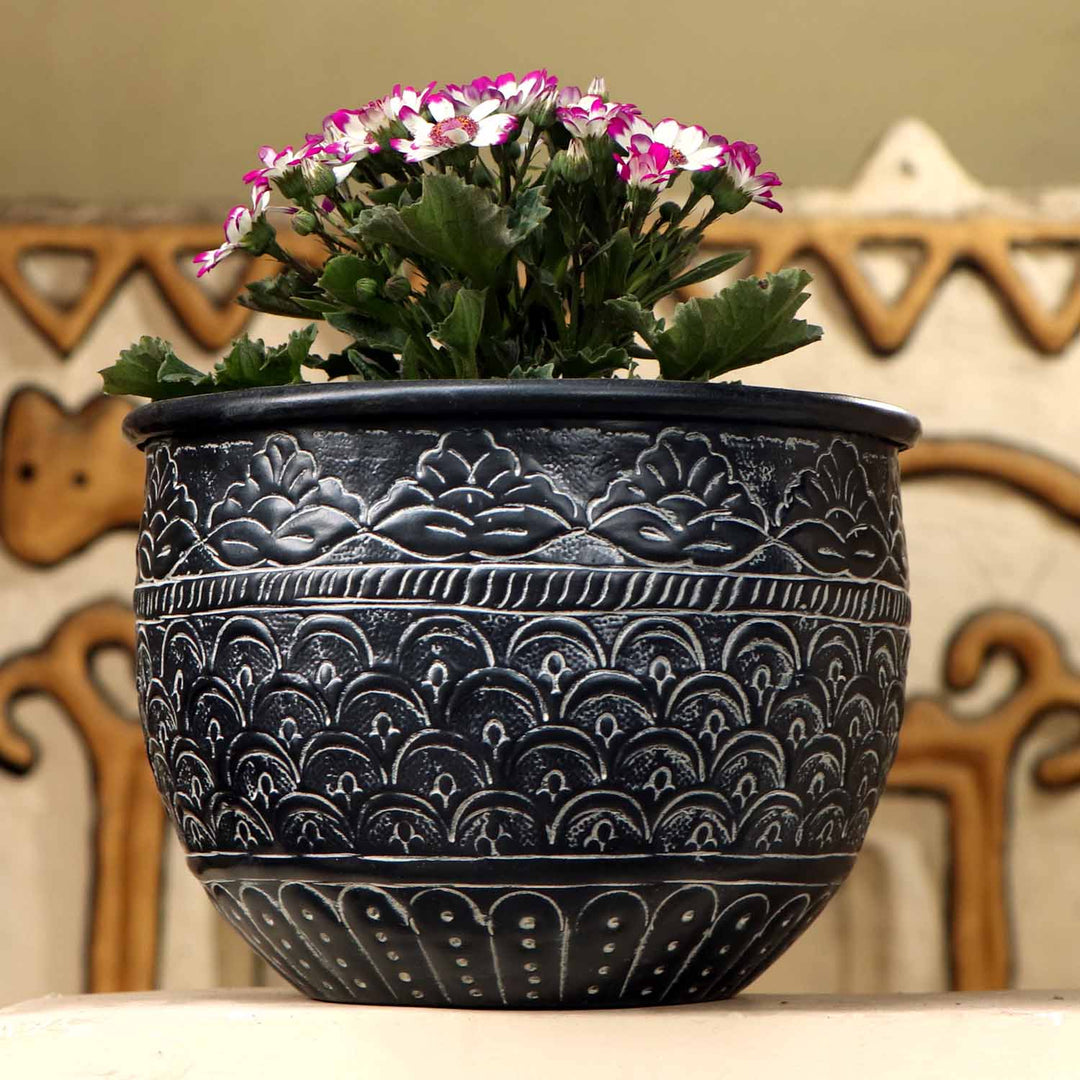 Orientalisk blomkruka Murcia