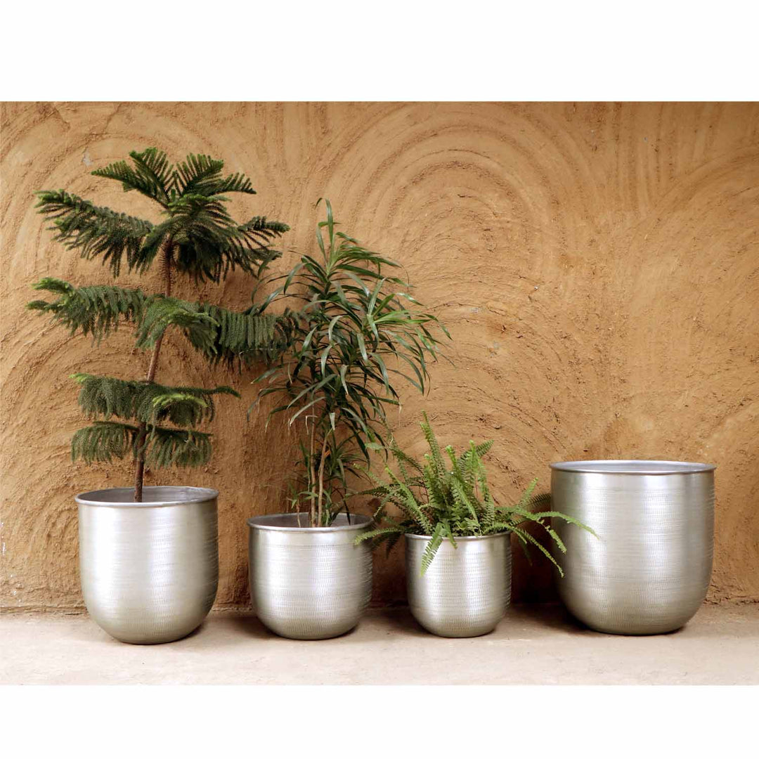 Orientalisk blomkruka Alikante