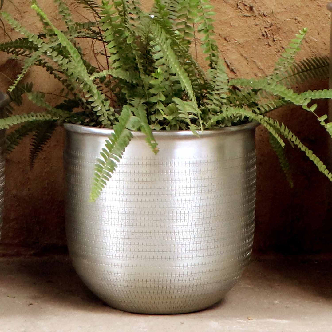 Orientalisk blomkruka Alikante