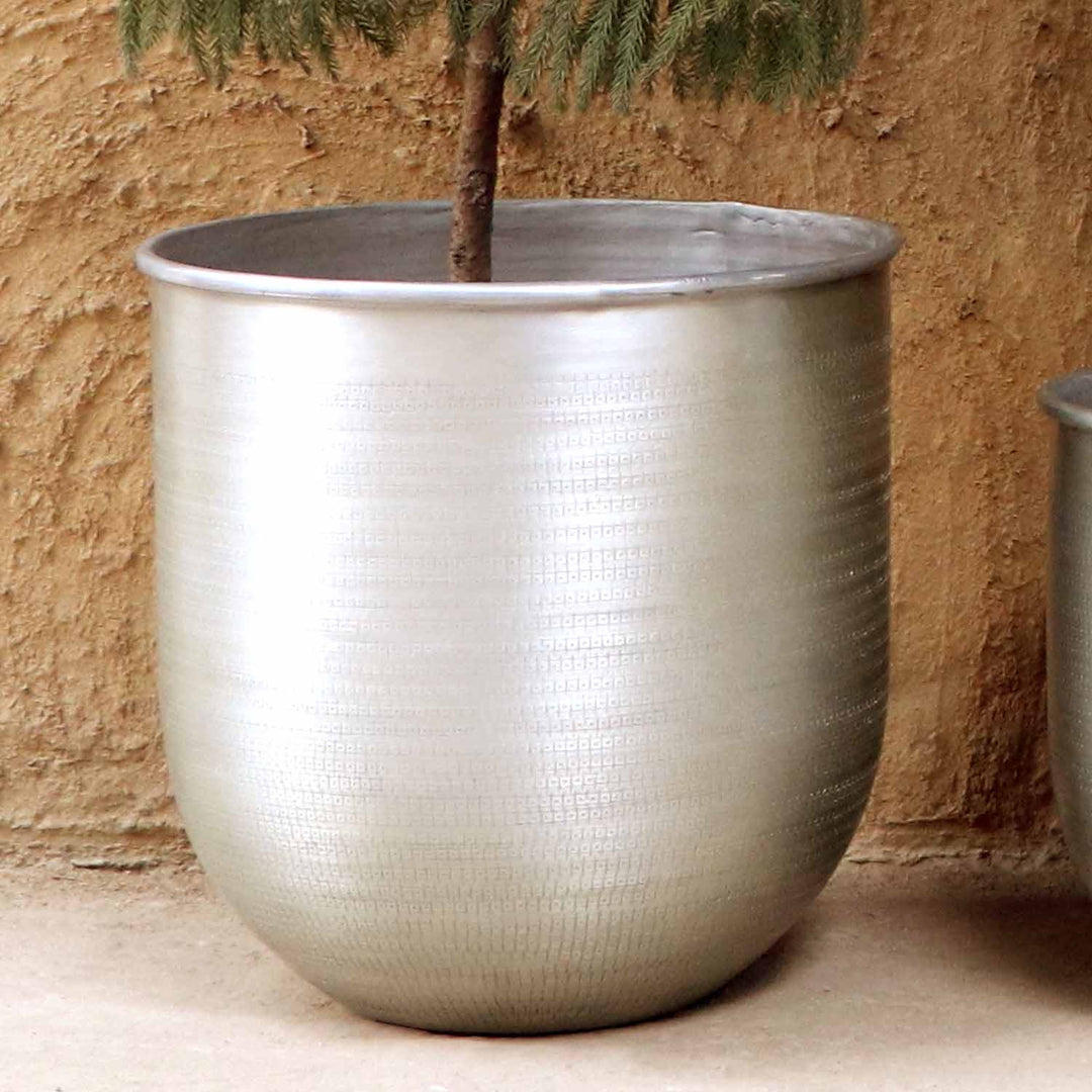 Orientalisk blomkruka Alikante