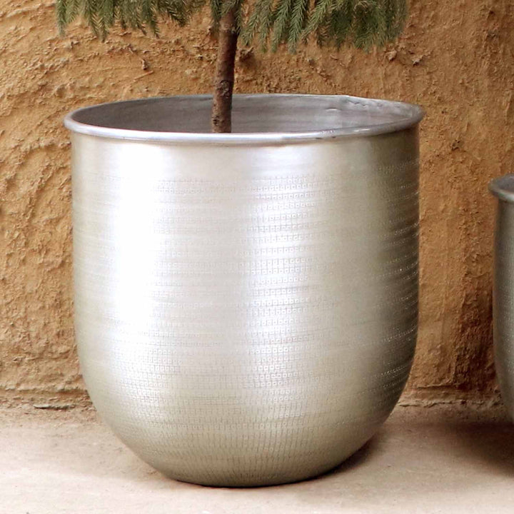 Orientalisk blomkruka Alikante