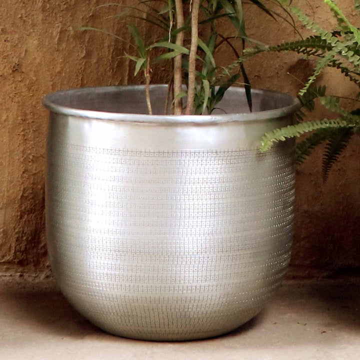 Orientalisk blomkruka Alikante