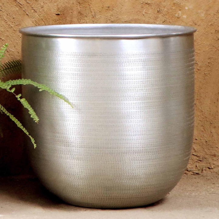 Orientalisk blomkruka Alikante