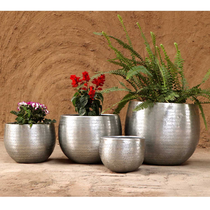 Orientalisk blomkruka Almeria
