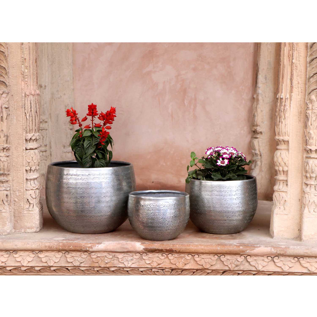 Orientalisk blomkruka Almeria