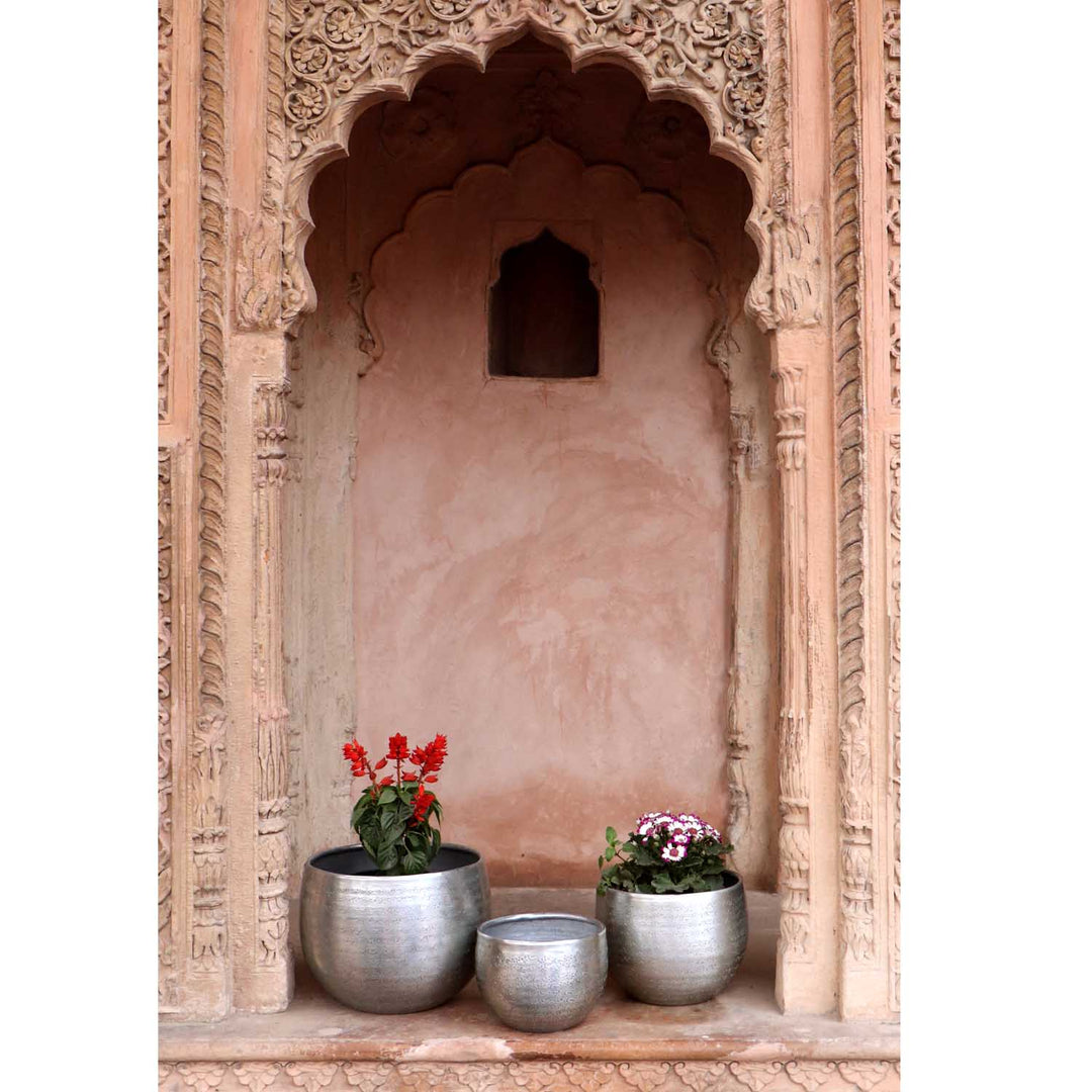 Orientalisk blomkruka Almeria