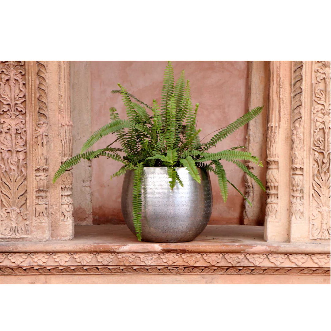 Orientalisk blomkruka Almeria