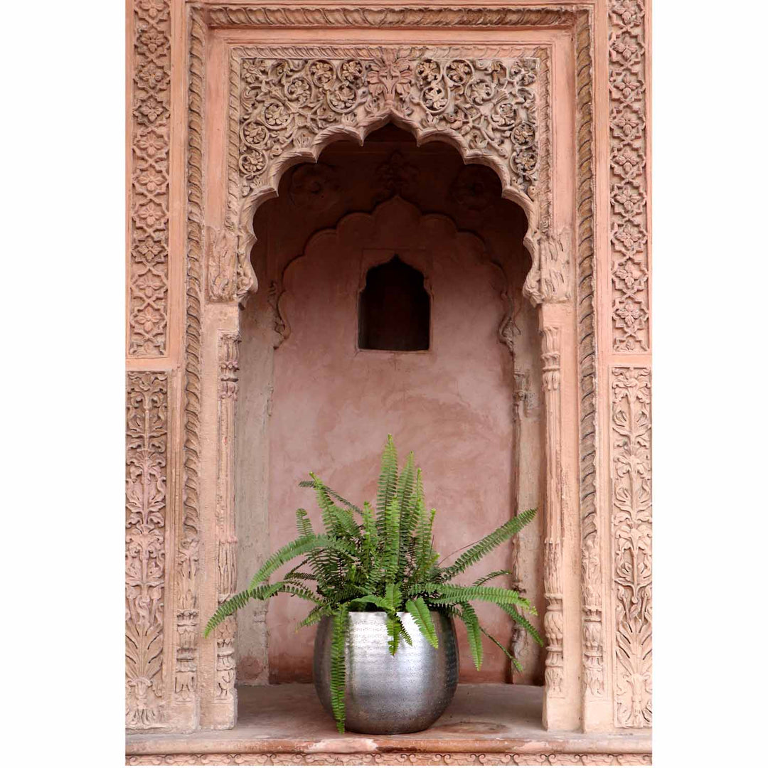 Orientalisk blomkruka Almeria
