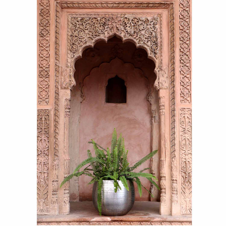 Orientalisk blomkruka Almeria