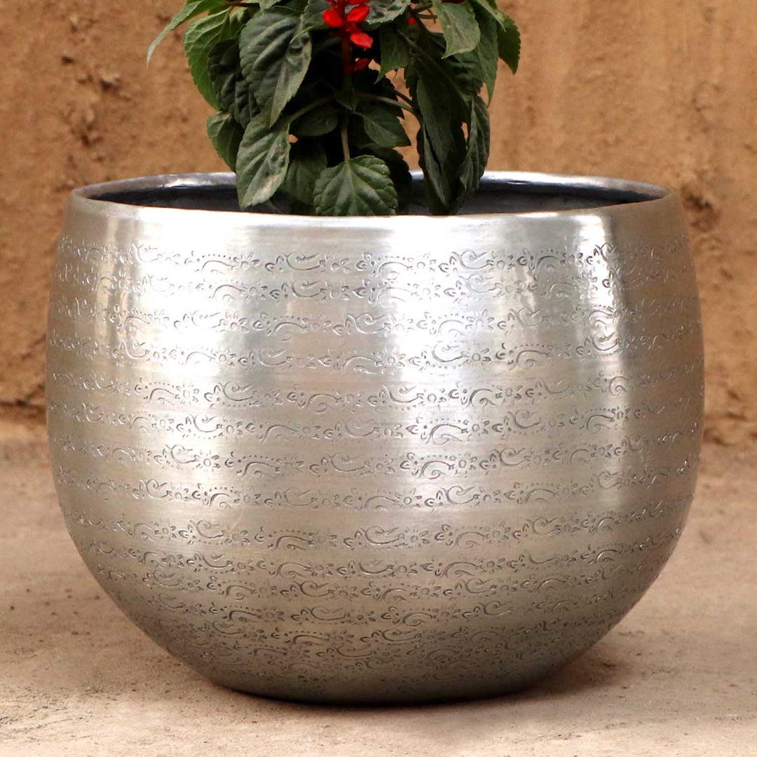 Orientalisk blomkruka Almeria