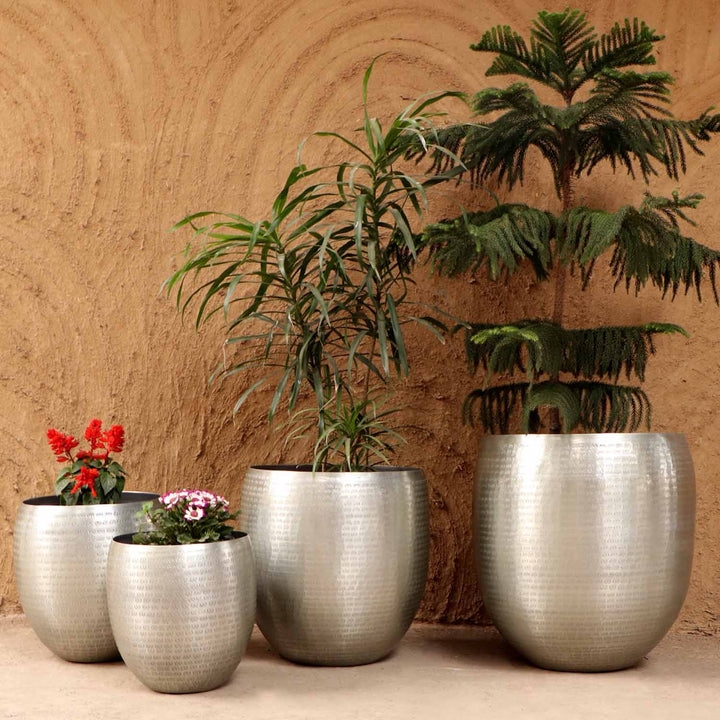 Orientalisk blomkruka Castellon