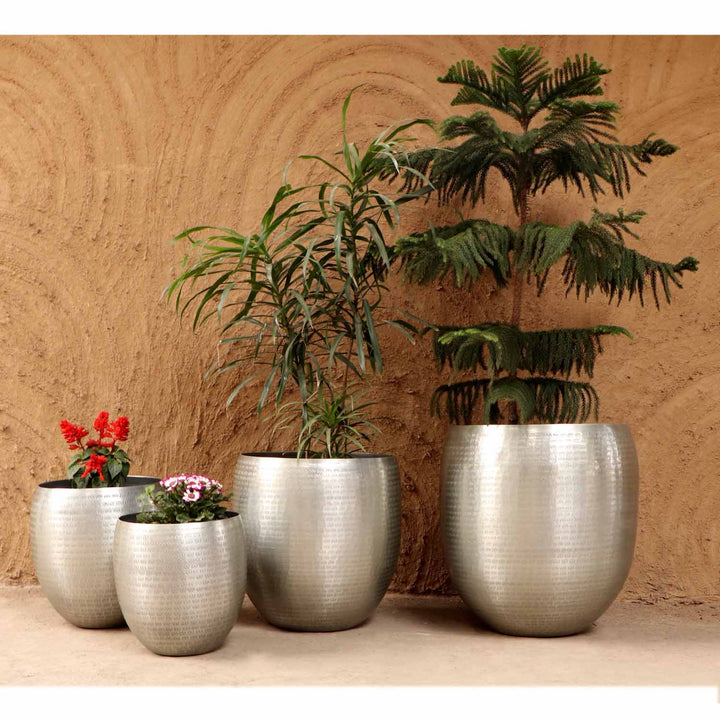 Orientalisk blomkruka Castellon