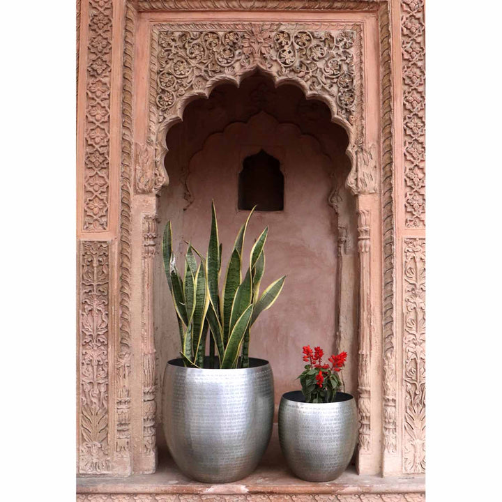 Orientalisk blomkruka Castellon
