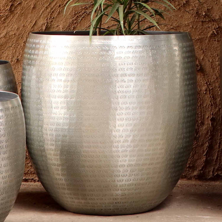 Orientalisk blomkruka Castellon