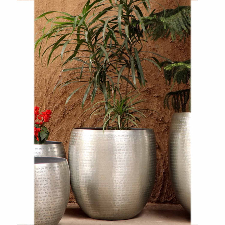 Orientalisk blomkruka Castellon