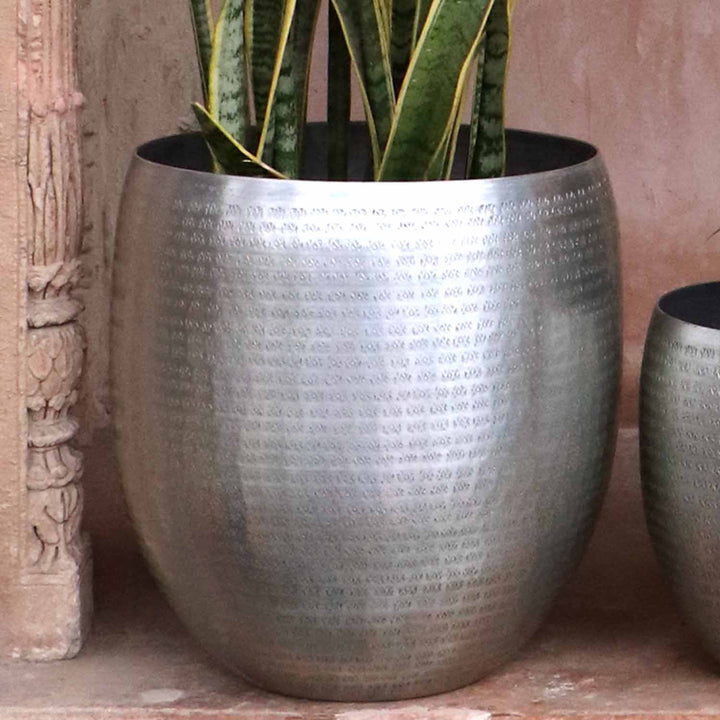 Orientalisk blomkruka Castellon