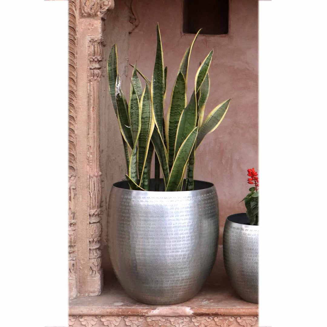 Orientalisk blomkruka Castellon